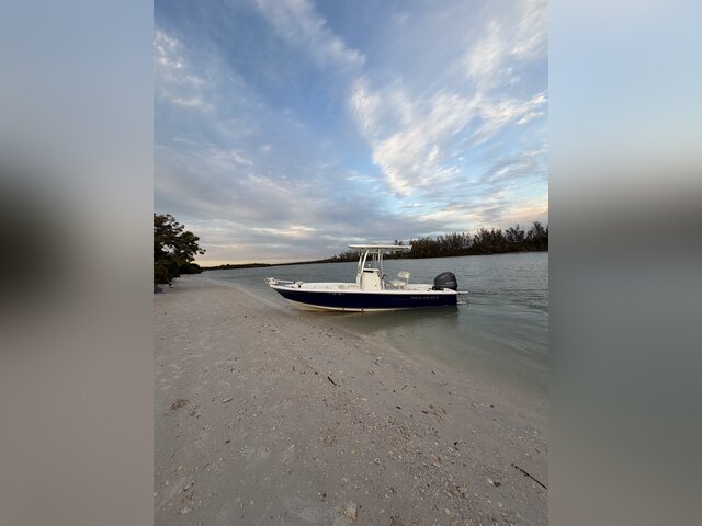 Listing image 1304362