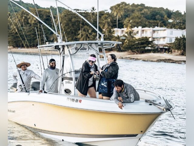 Listing image 1291348