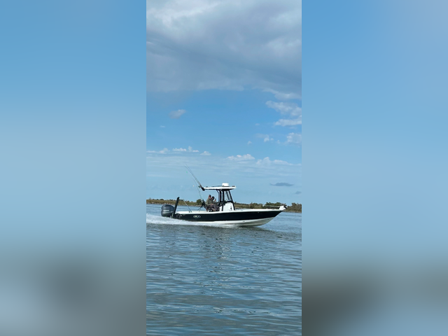 Listing image 1291453