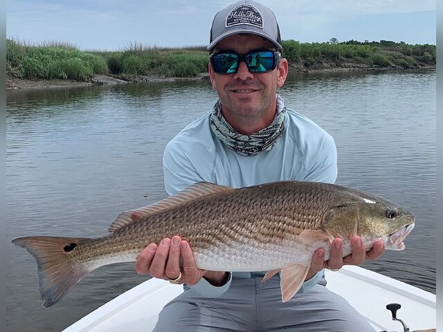 Listing image 1310276