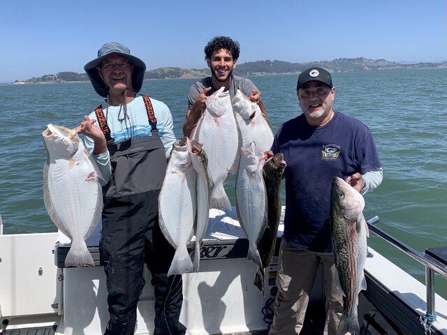 Listing image 1292413