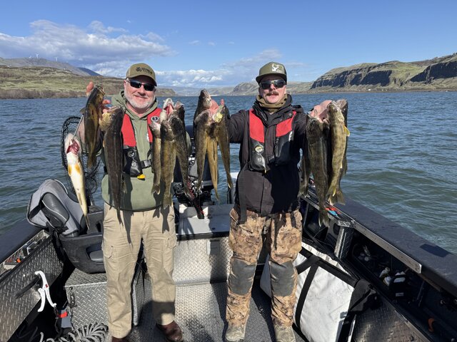 Listing image 1292320