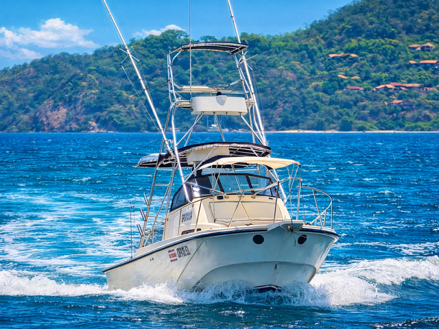 Listing image 1343163