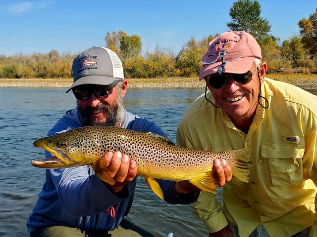 Listing image 1293694