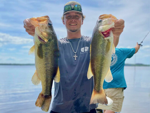 Listing image 1329890