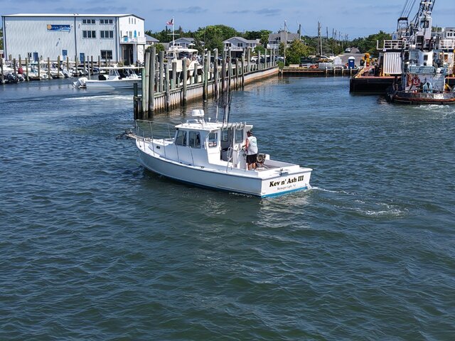 Listing image 1295581