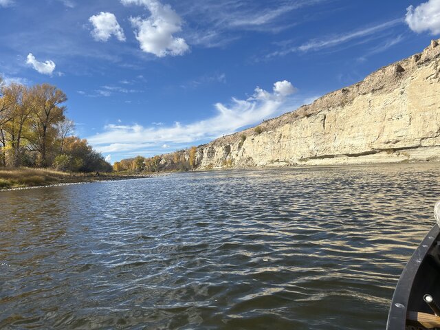 Listing image 1295603