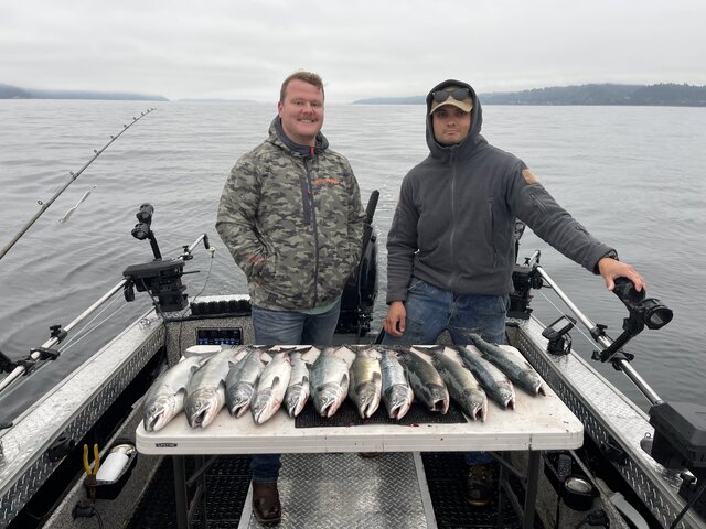 Listing image 1298786