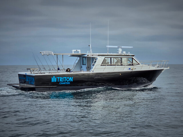 Listing image 1299776