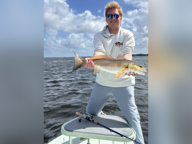 Listing image 1301052