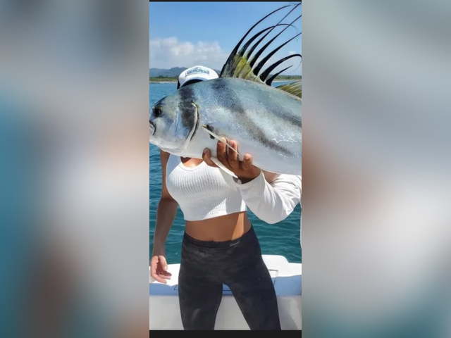 Listing image 1303014