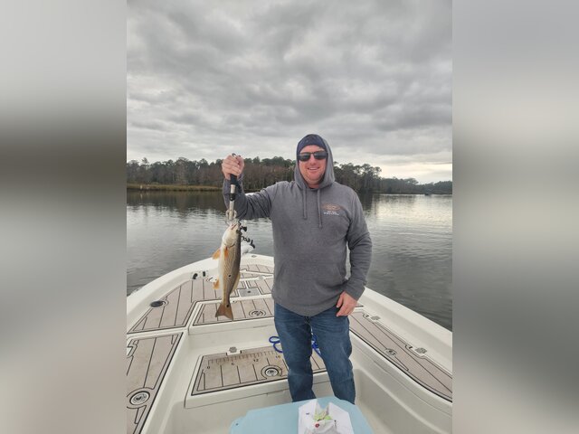 Listing image 1301644