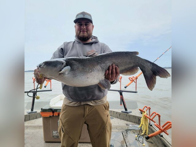 Listing image 1302322