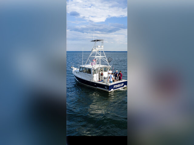 Listing image 1302960