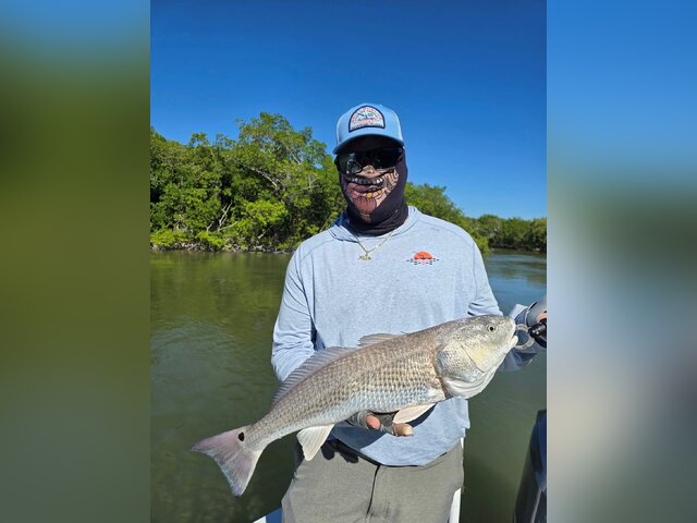 Listing image 1308441