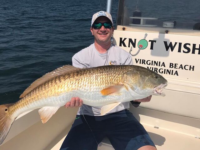 Listing image 234728