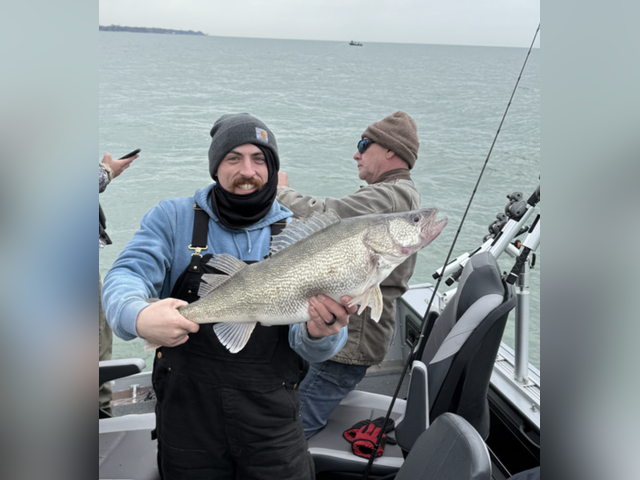 Listing image 1304328