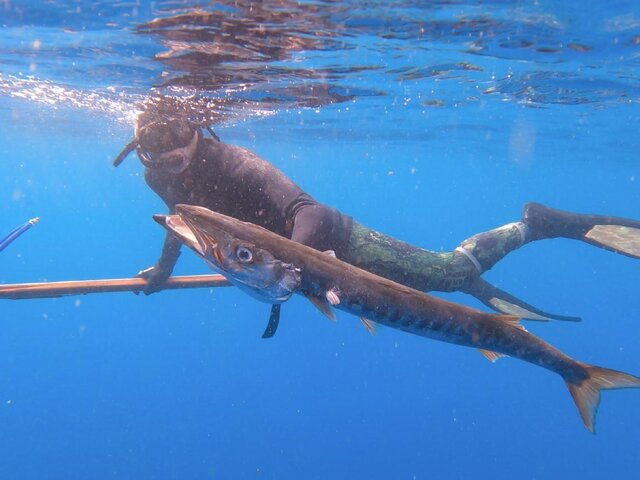 Listing image 1304101