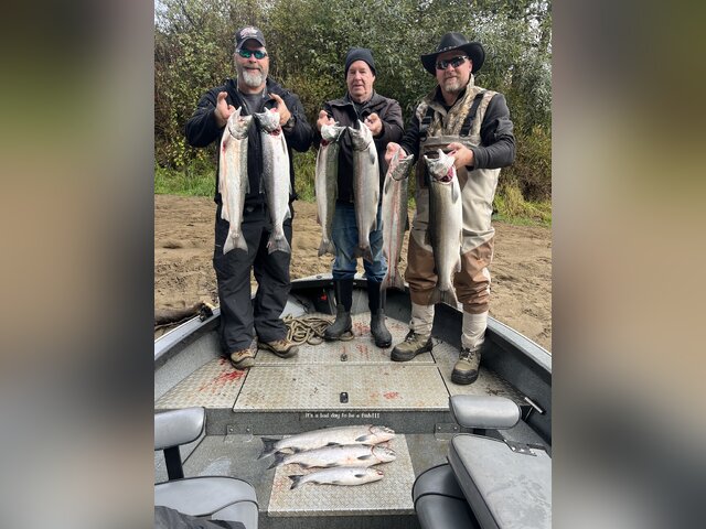 Listing image 1305141