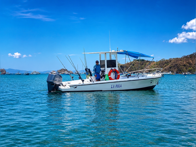 Listing image 1380629