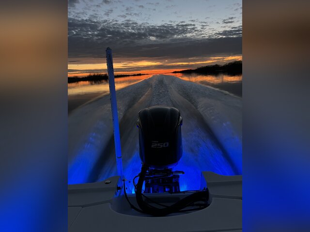 Listing image 1305952