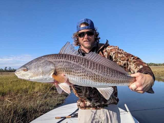 Listing image 1306193