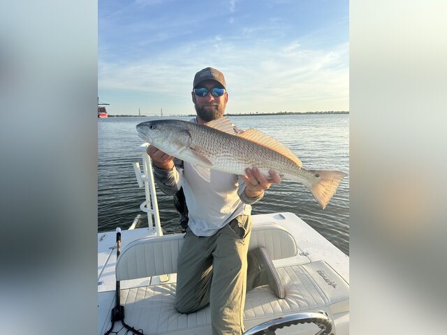 Listing image 1306454