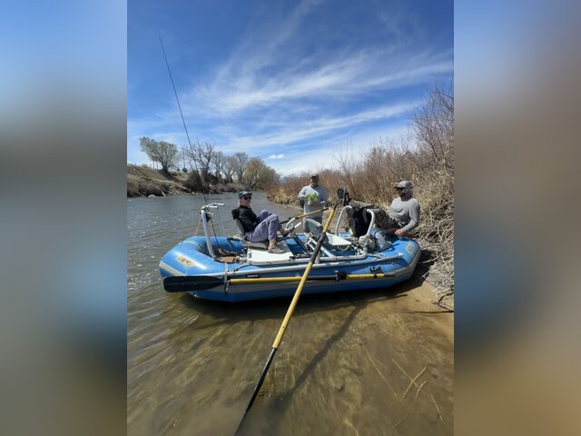 Listing image 1306551