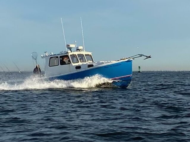 Listing image 1306926