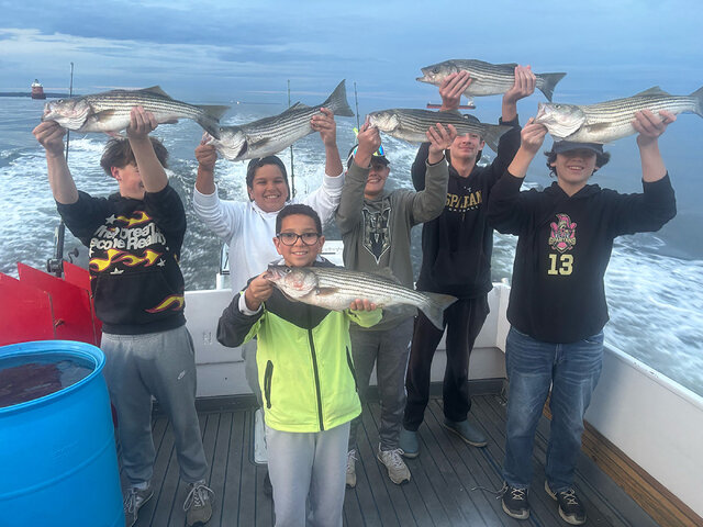 Listing image 1307325