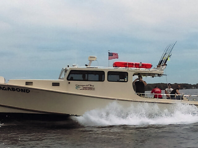 Listing image 1307520