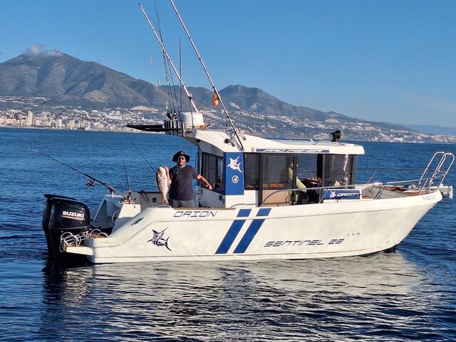 Listing image 1308713