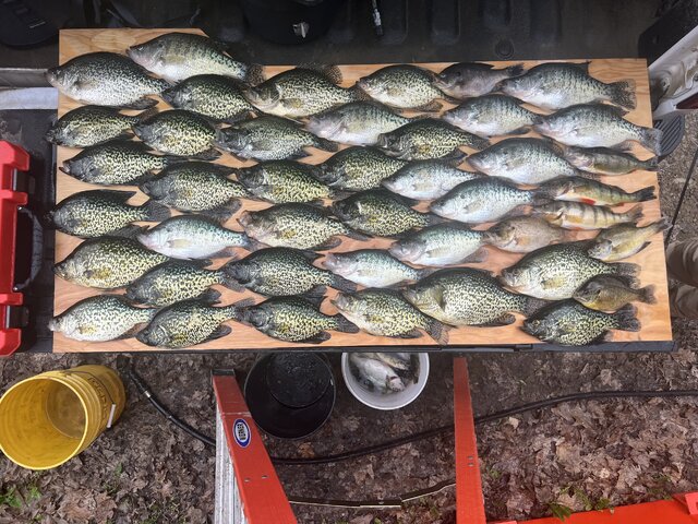 Listing image 1308924