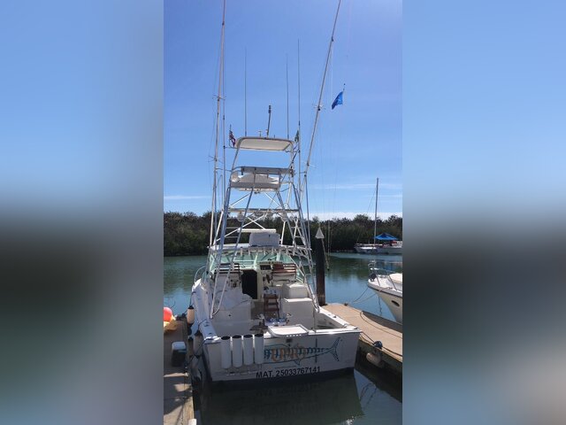 Listing image 1309127