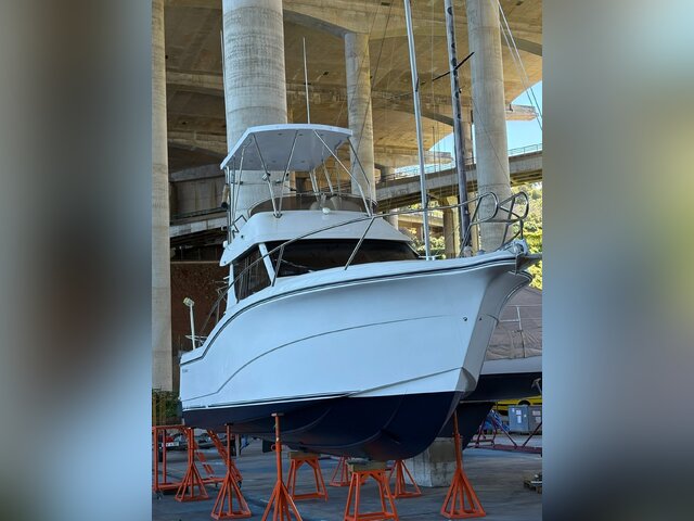 Listing image 1309415