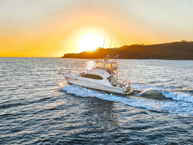 Listing image 1309764