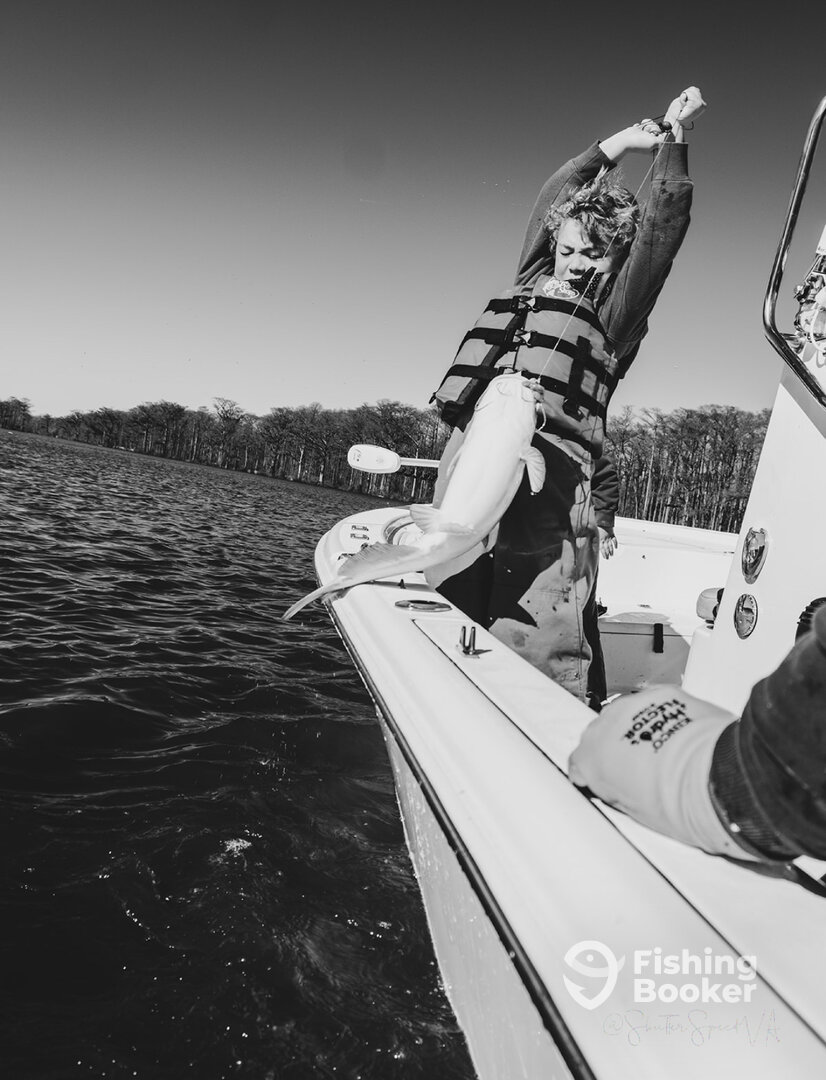 Boat image