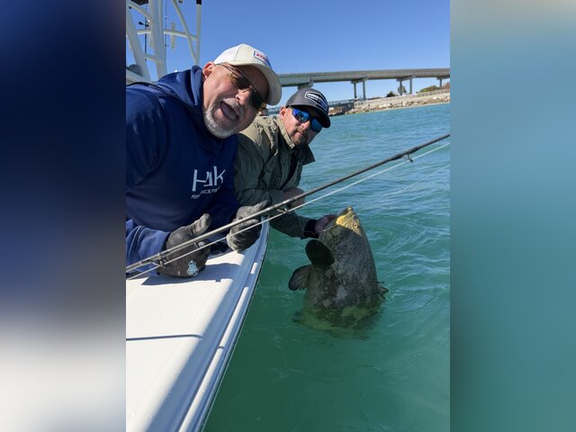 Listing image 1311682