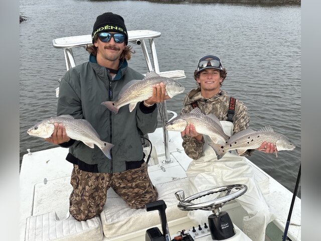 Listing image 1312854