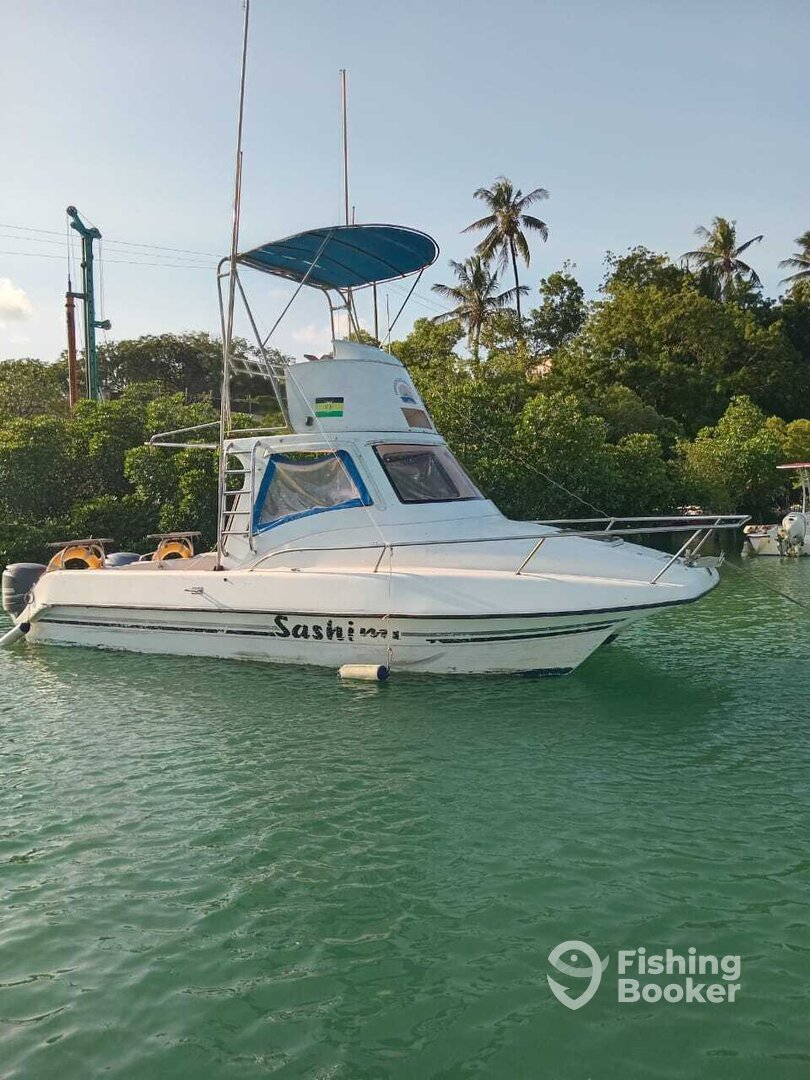 Boat image