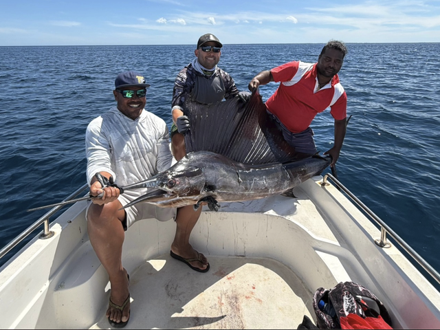 Listing image 1370454