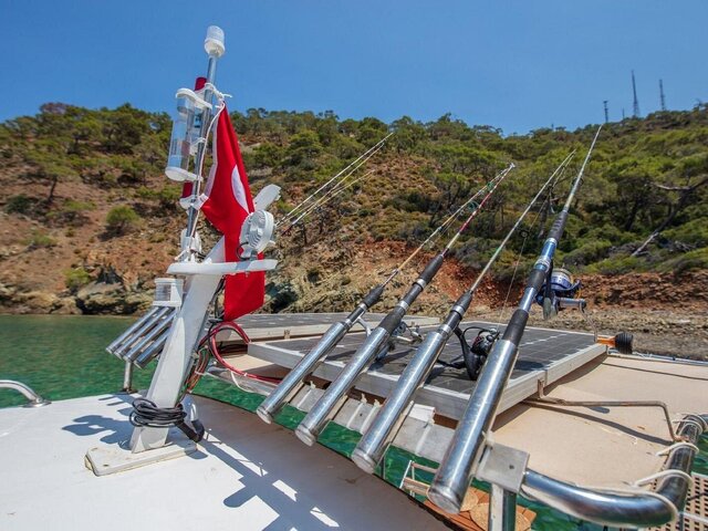 Listing image 1315860