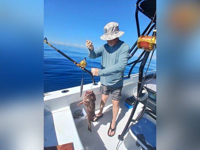 Listing image 1342742