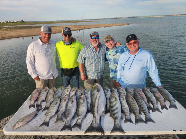 Listing image 1316430