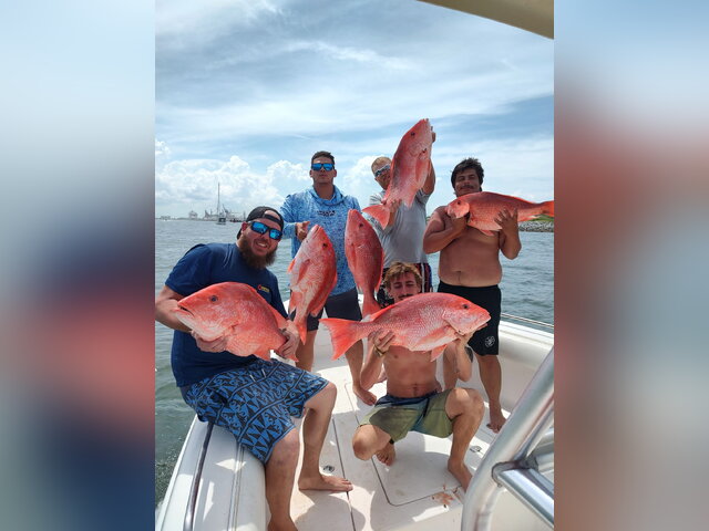 Listing image 1317988