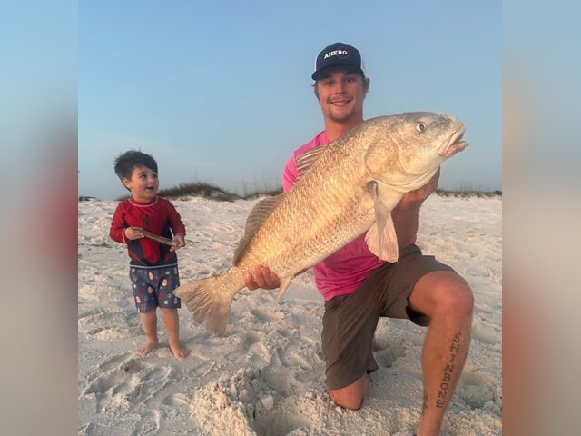 Listing image 1319596