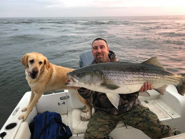 Listing image 1318618