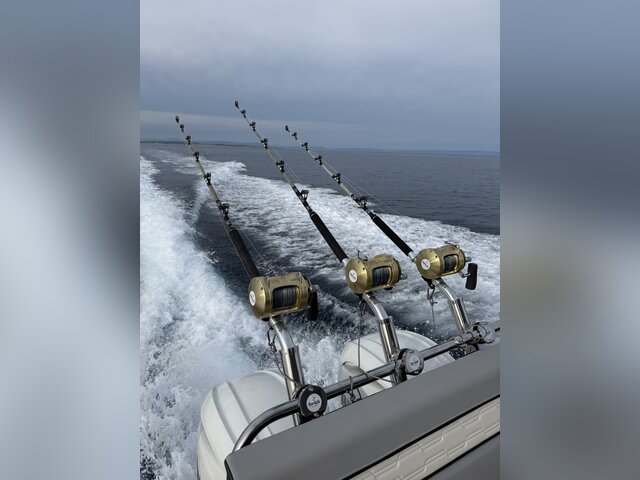 Listing image 1369288