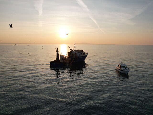 Listing image 1330392