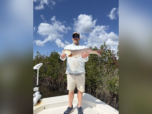 Listing image 1321829